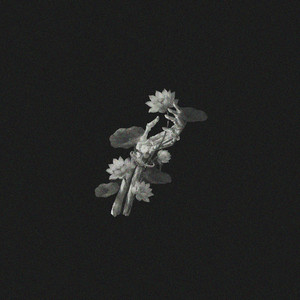 John Michael Howell & JVKE & ZVC - A Thousand Years
