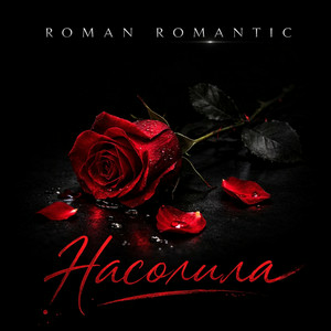 ROMAN ROMANTIC - Насолила