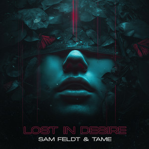 Sam Feldt & TAME - Lost In Desire