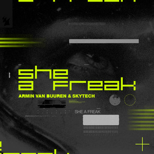 Armin van Buuren & Skytech - She A Freak
