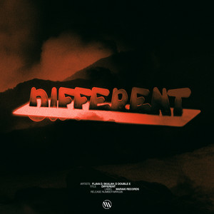 Flava D & SKALAH & D Double E - Different