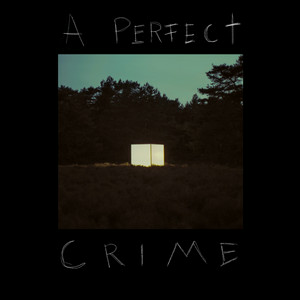 Kovacs - A Perfect Crime