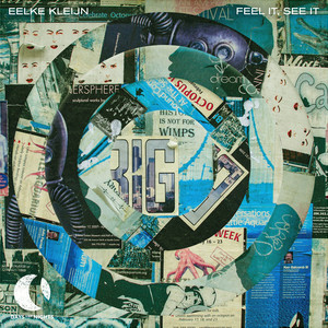 Eelke Kleijn - Feel It, See It