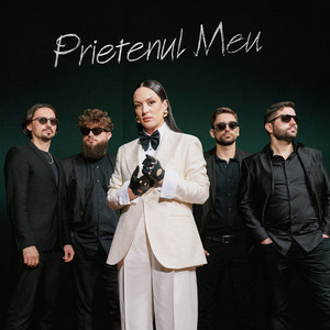 Tania Turtureanu - Prietenul Meu
