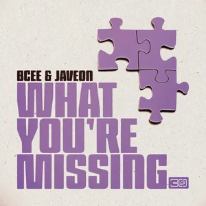 BCee & Javeon - What You're Missing