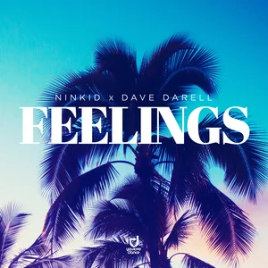 Ninkid & Dave Darell - Feelings