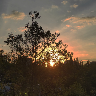 Суно Багарт - Вгамована спрага
